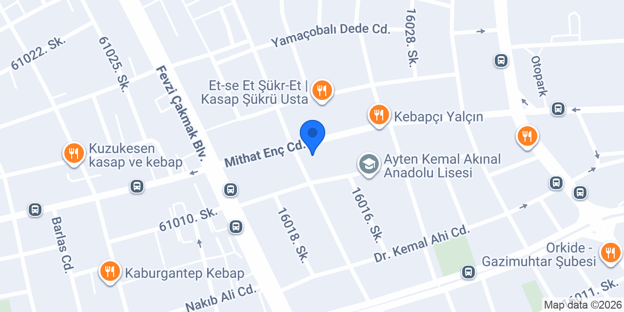 Diş Hekimi Ali Mirac Düşkün konumu