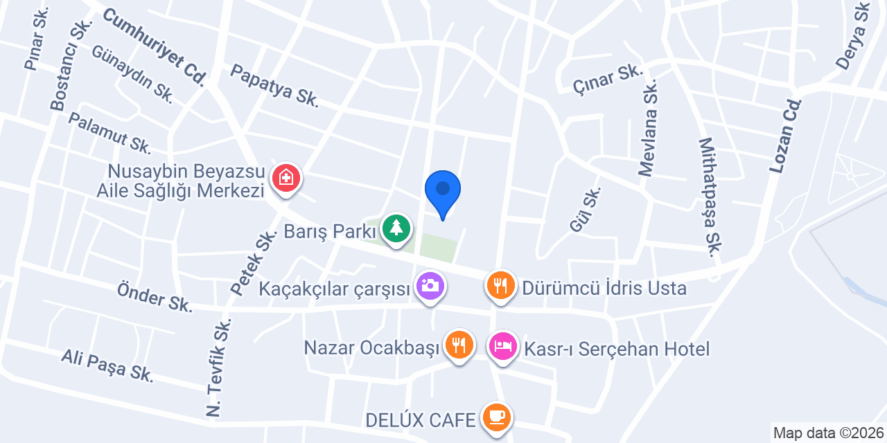 Öz Mersin atomcusu nusaybin konumu