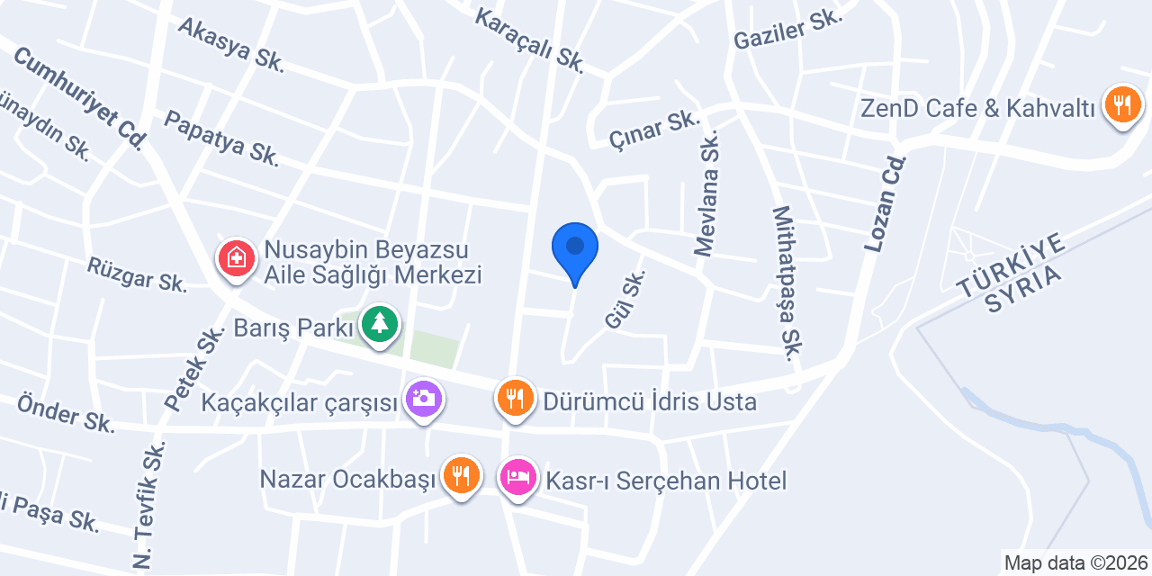 ASLAN MANAV GIDA konumu