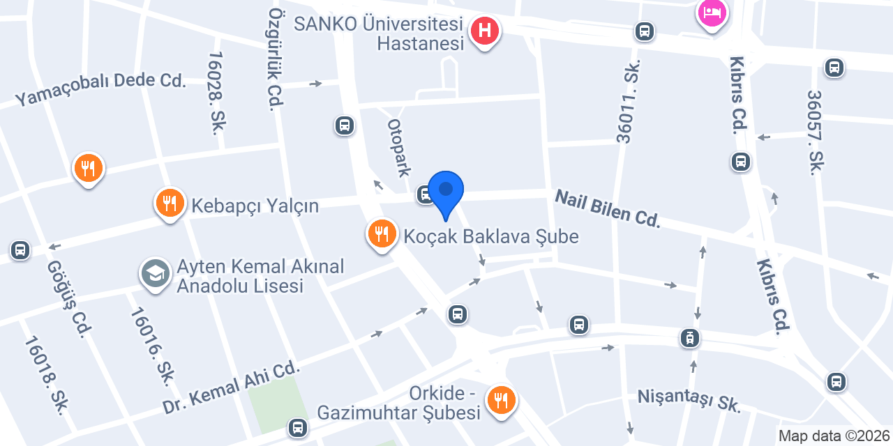 DRY VİZE GAZİANTEP konumu