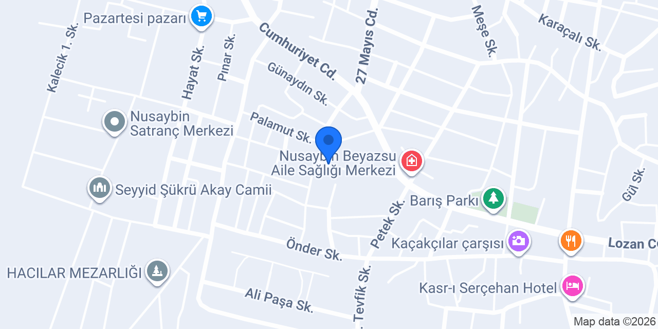 Mina Güzellik Salonu Nusaybin konumu
