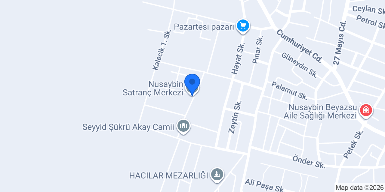 Nusaybin Satranç Merkezi konumu