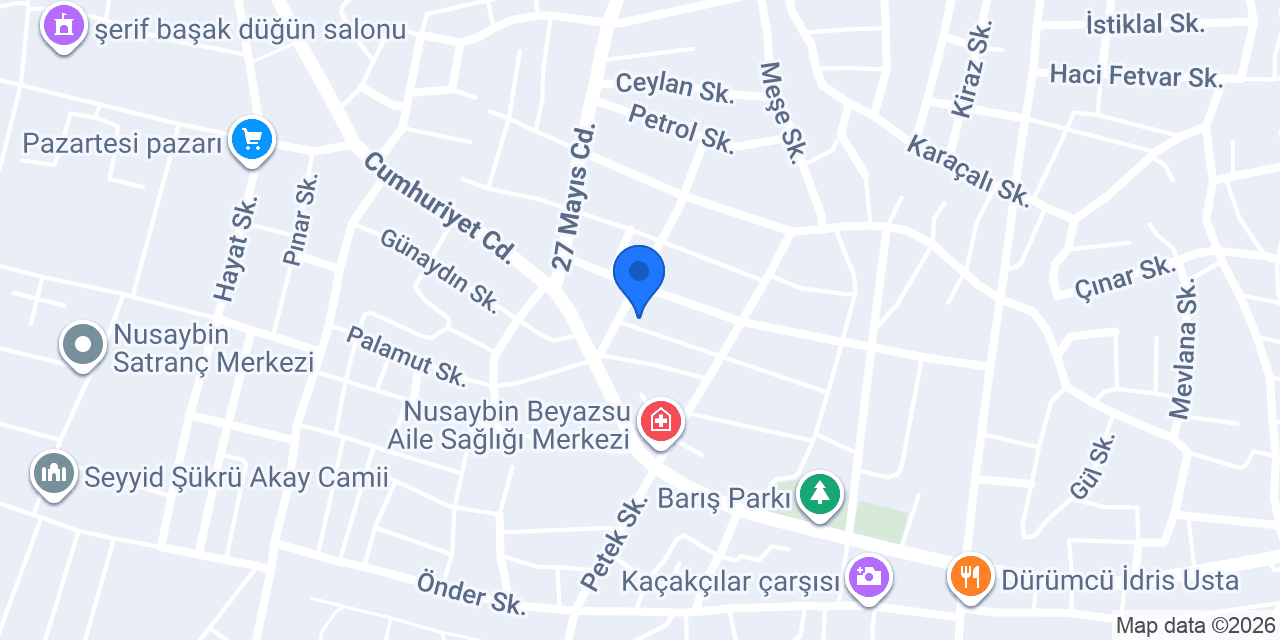 Aras Kargo Nusaybin Şubesi konumu