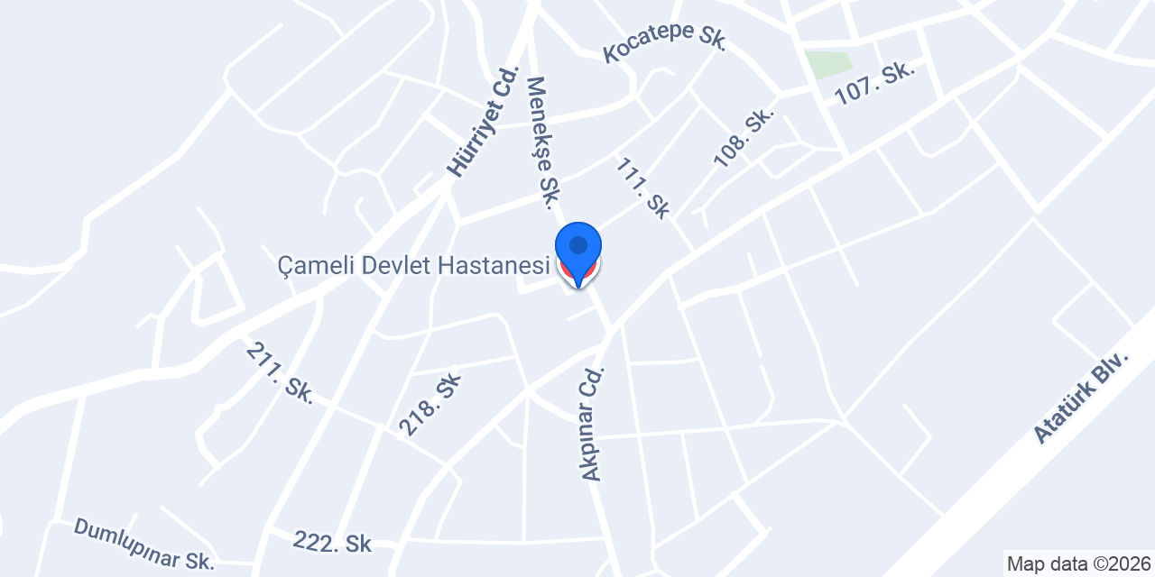 Çameli Devlet Hastanesi konumu