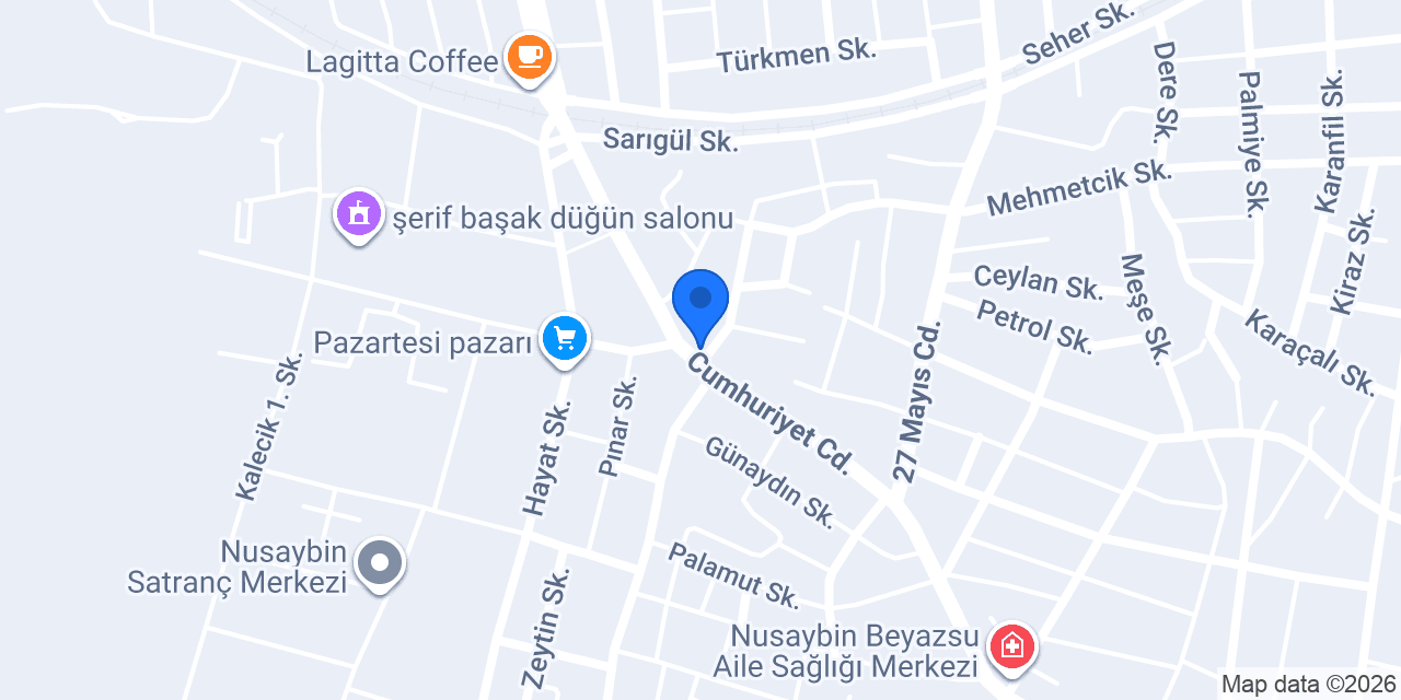Nusaybin Mardin durağı konumu