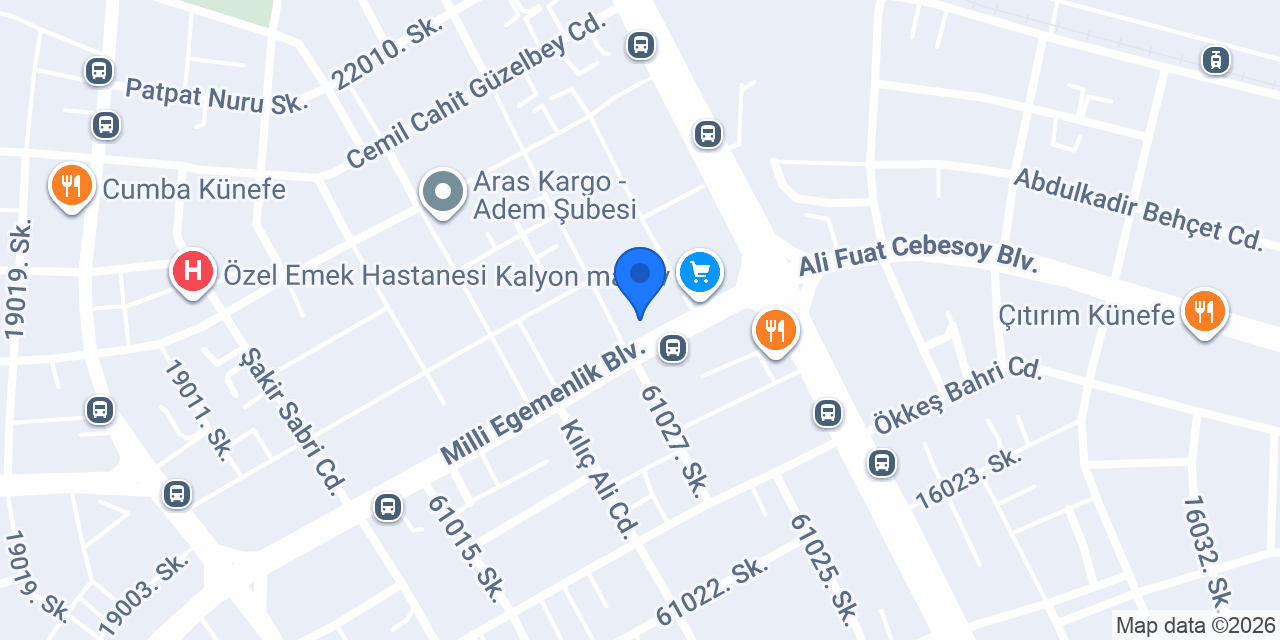 kamelya çiçek konumu