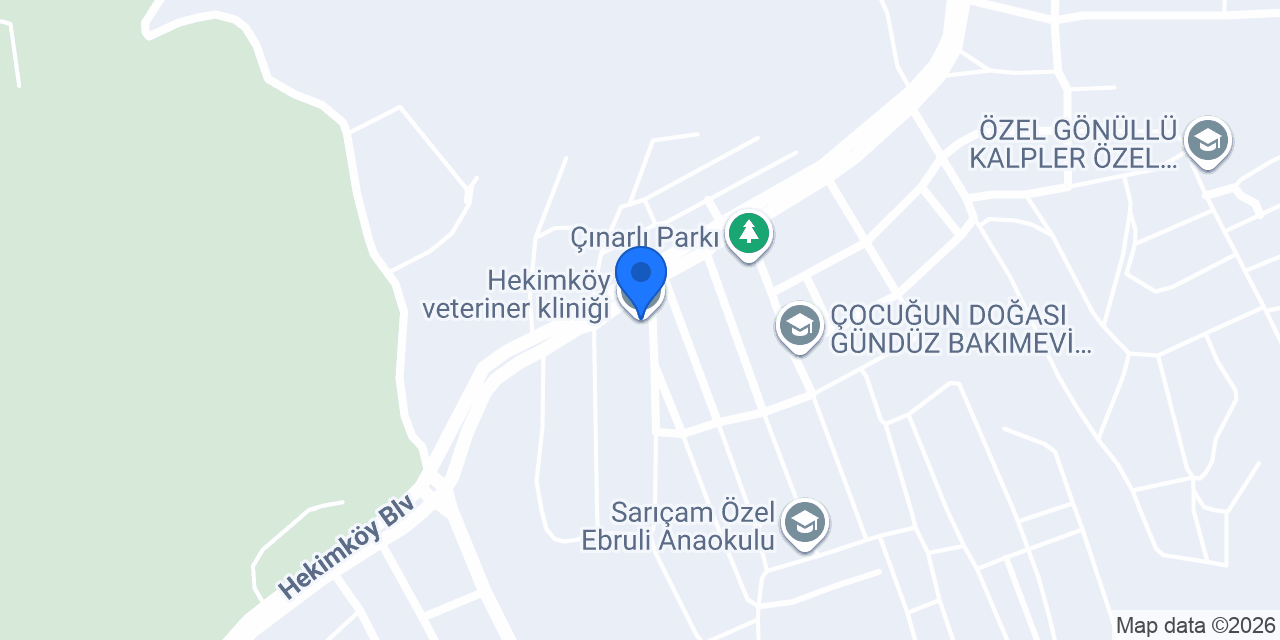 Hekimköy veteriner kliniği konumu