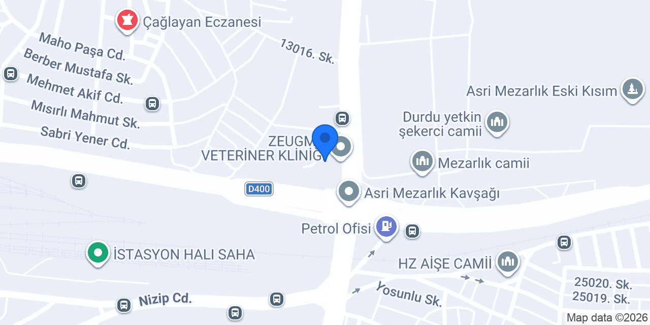 Gaziantep Saraciye konumu