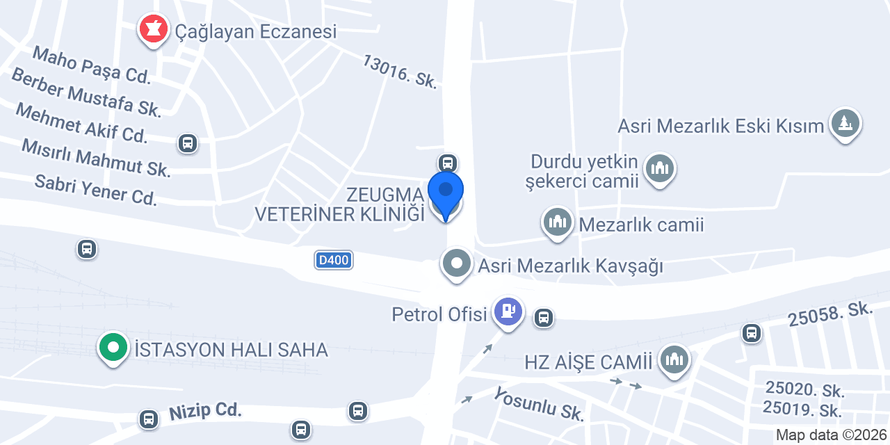 ZEUGMA VETERİNER KLİNİĞİ konumu