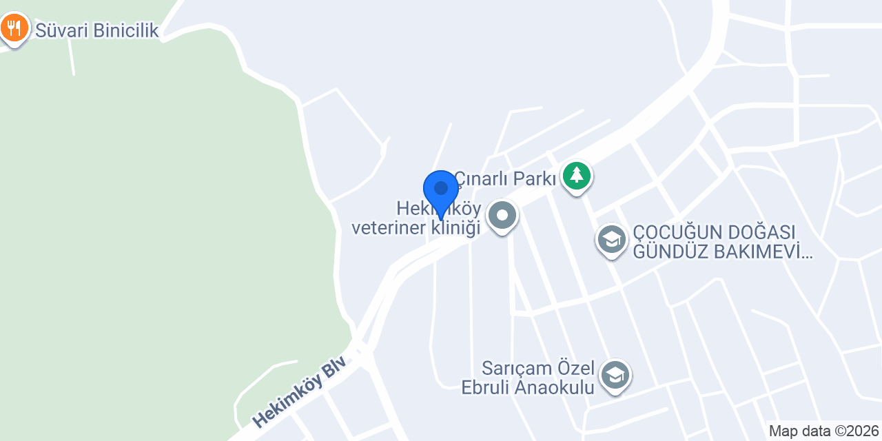 Özel Çınarlı Okulları konumu