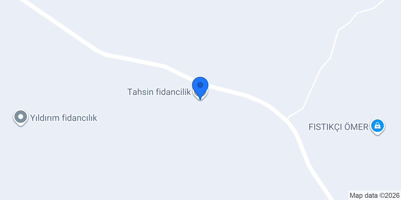 Tahsin fidancilik konumu