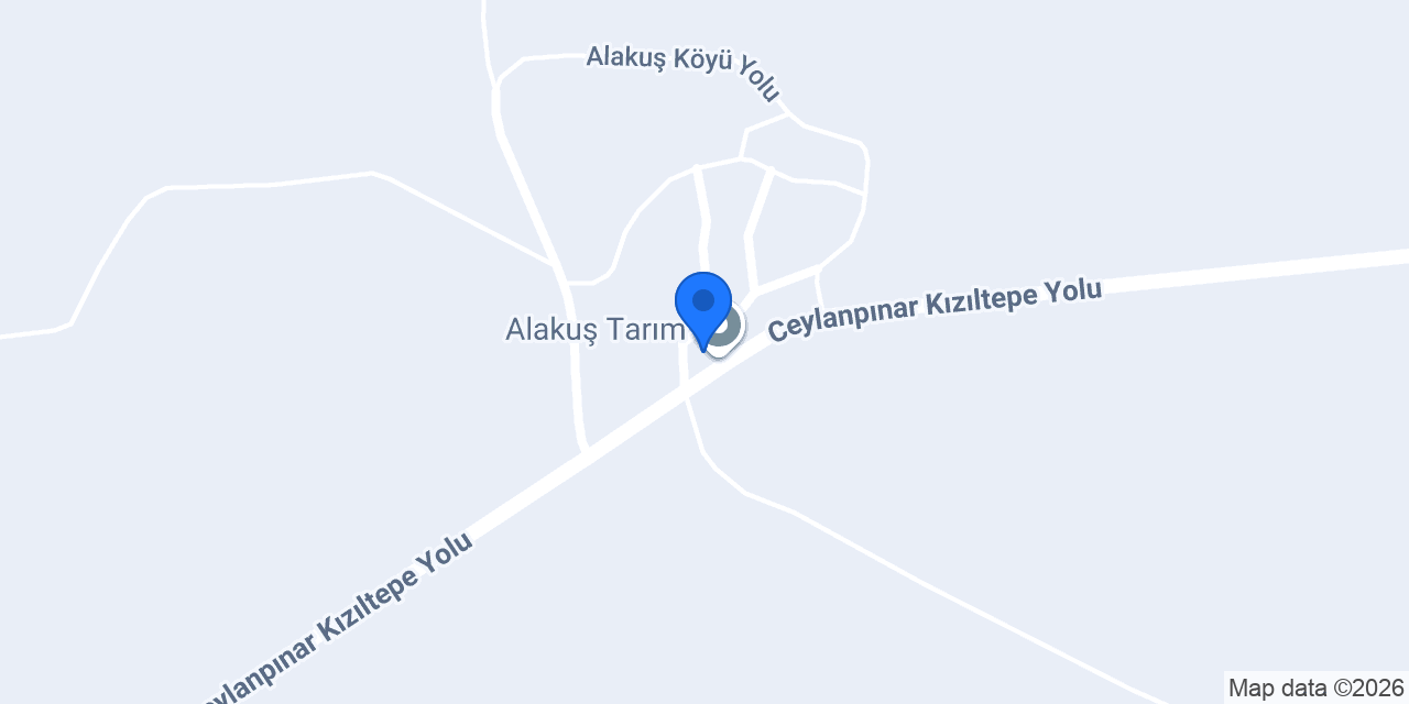 Media Ajans konumu