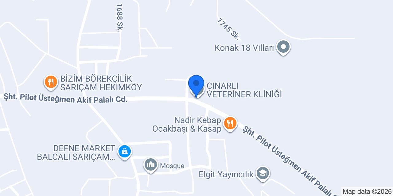 ÇINARLI VETERİNER KLİNİĞİ konumu