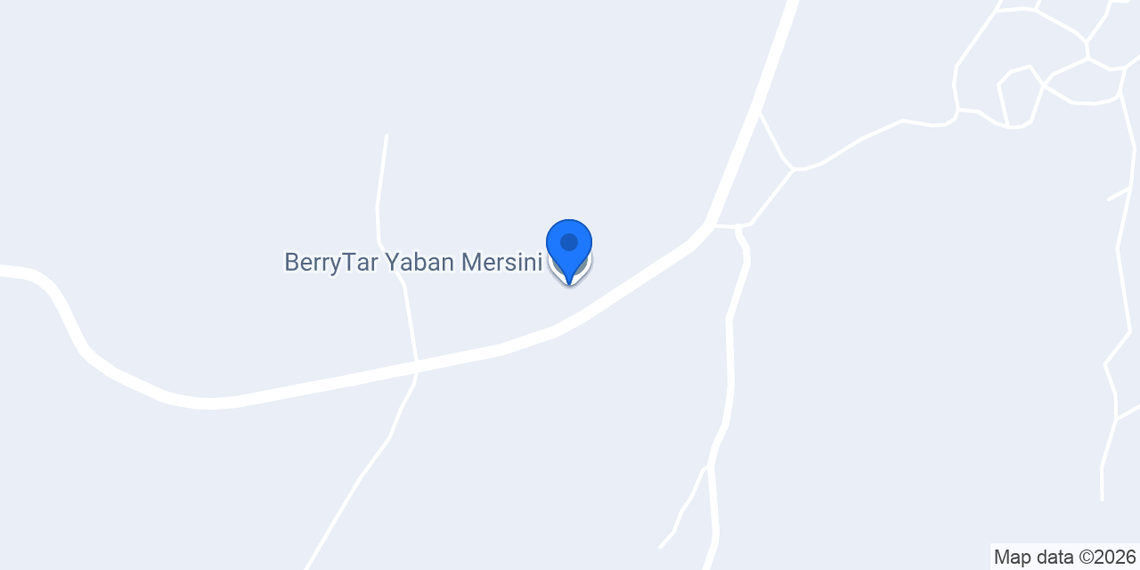 BerryTar Yaban Mersini konumu