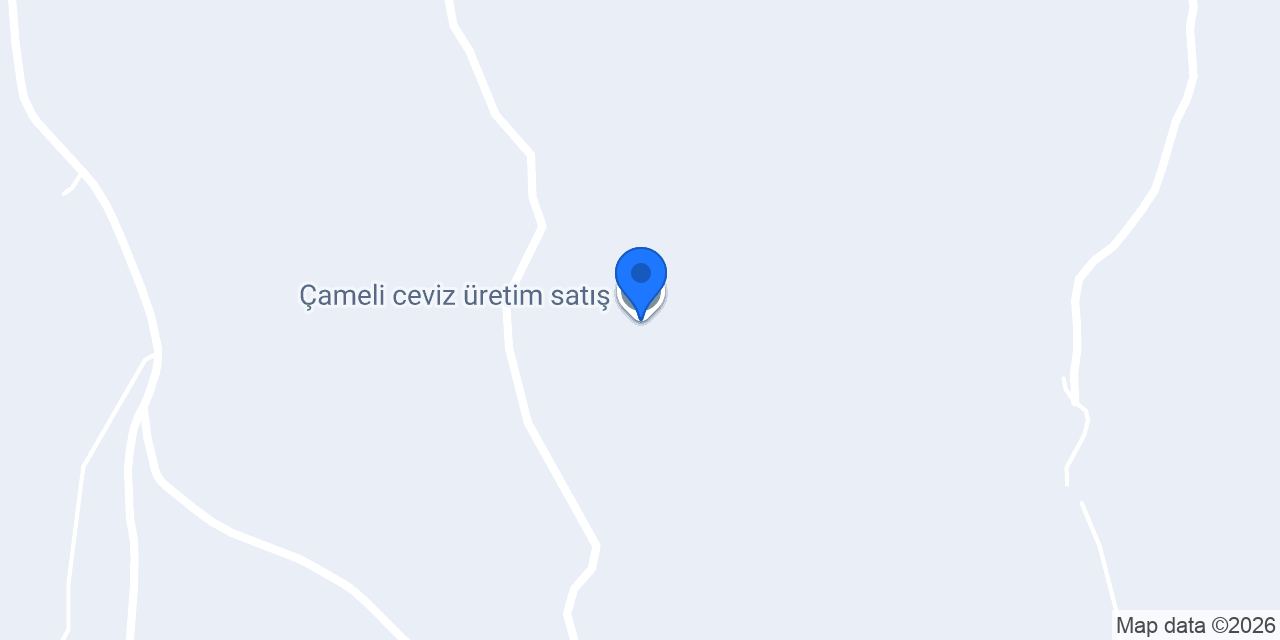 Çameli ceviz üretim satış konumu