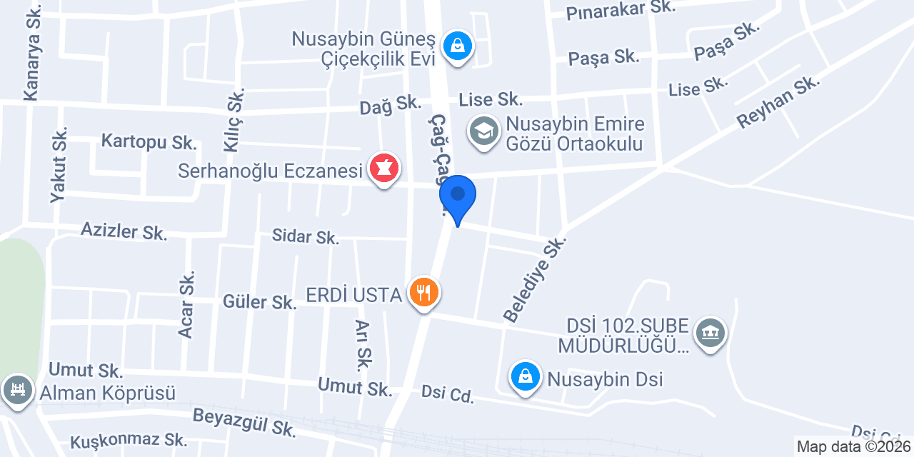 Nusaybin NERGİS HalıYııkama konumu