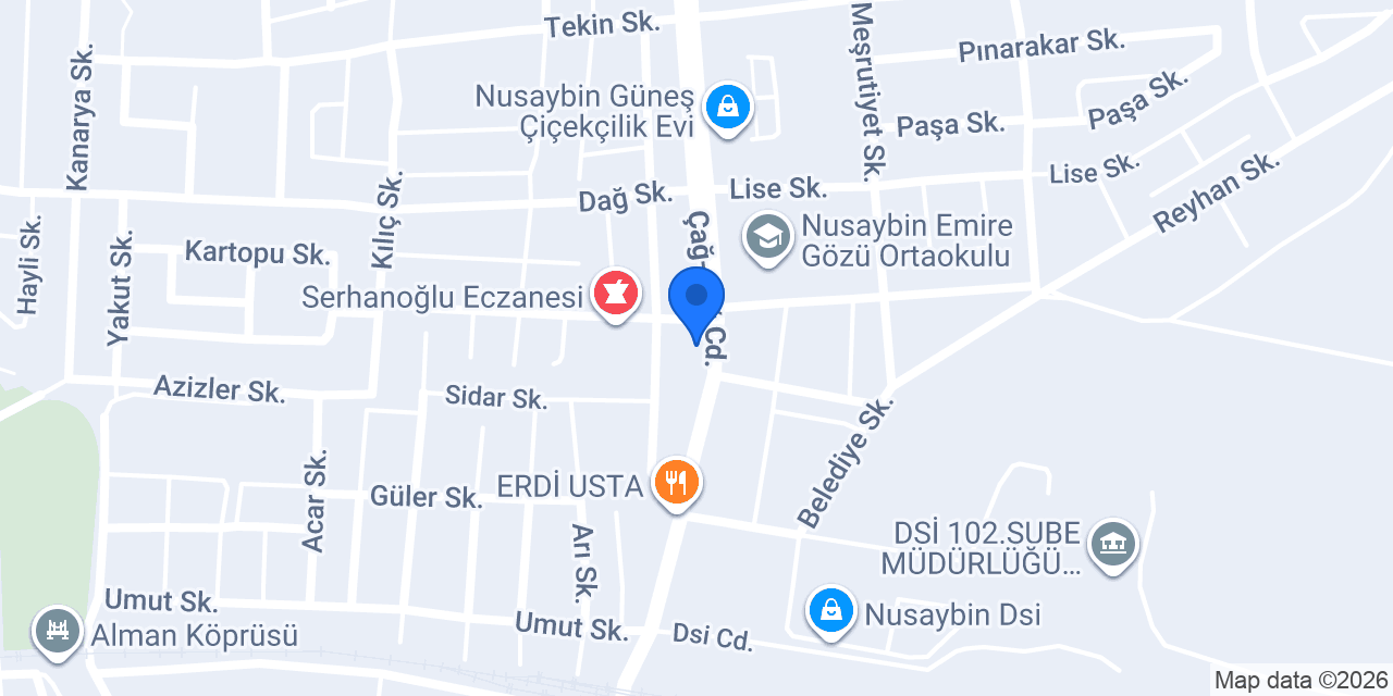 Arya kırtasiye Nusaybin konumu
