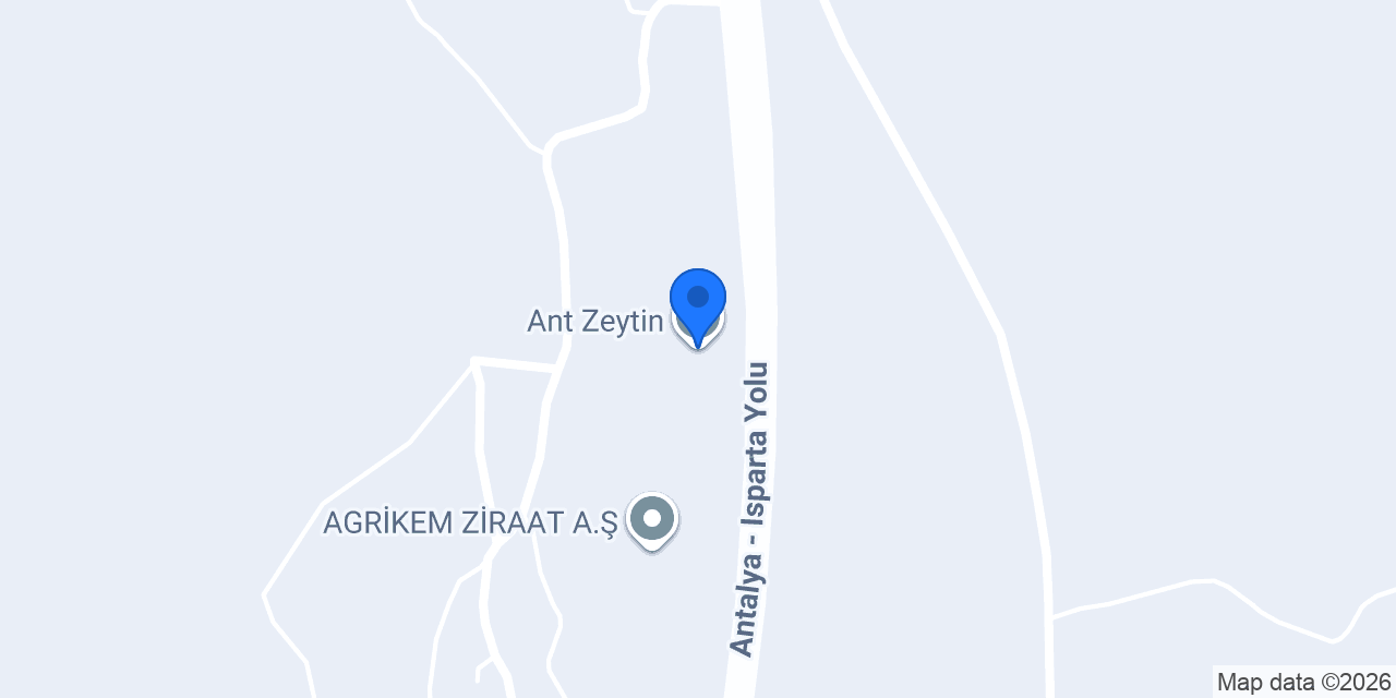 Ant Zeytin konumu
