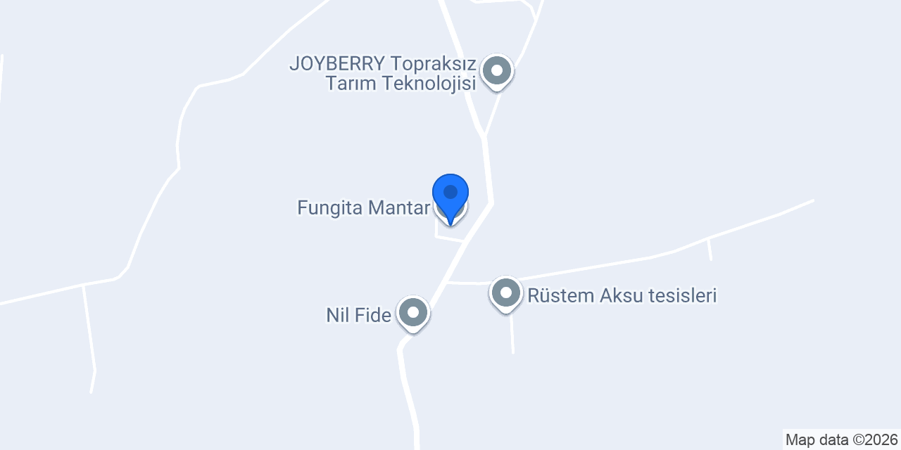 Fungita Mantar konumu