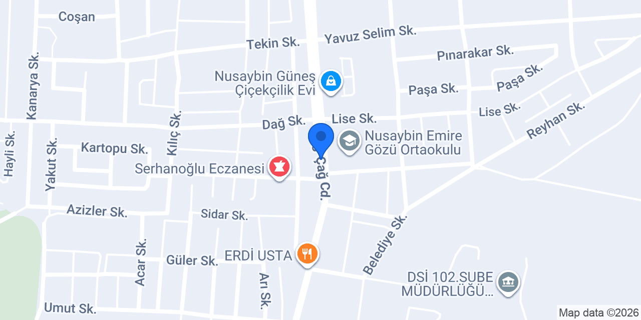 Dizayn yapı izolasyon nusaybin konumu