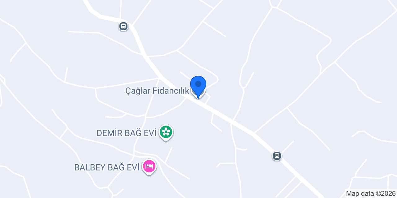 Çağlar Fidancılık konumu