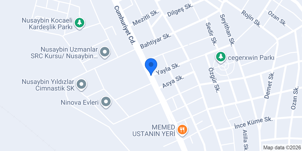 Nusaybin Belediyesi konumu
