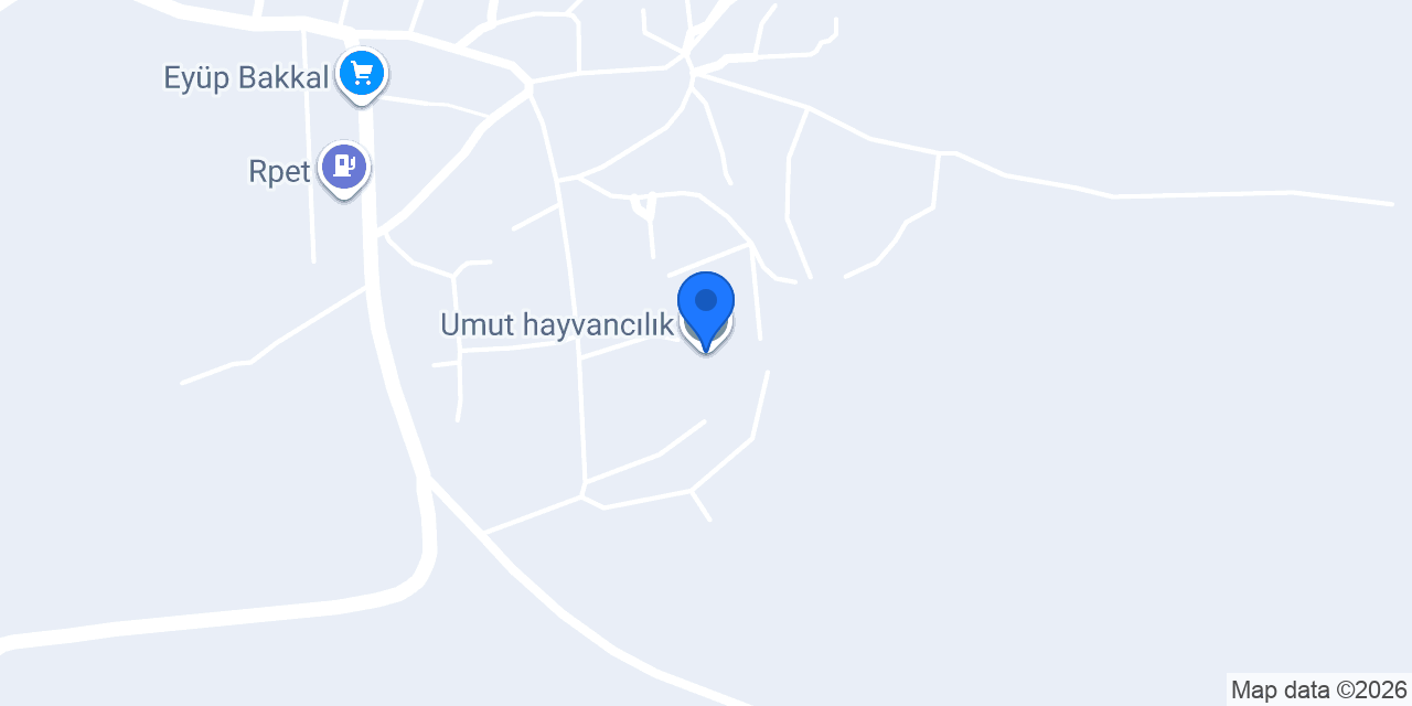 Umut hayvancılık konumu