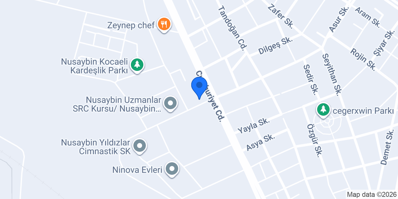 Çetin otomotiv nusaybin konumu
