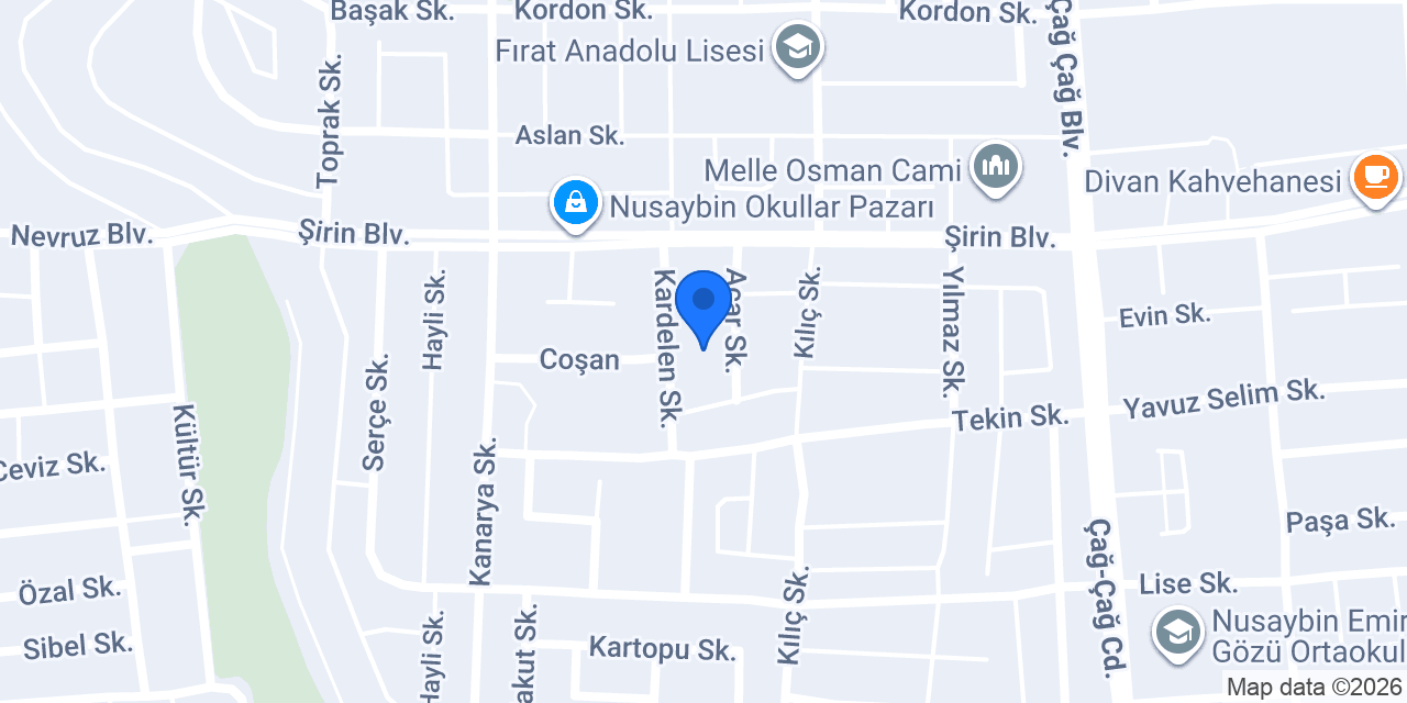 Nusaybin taksi konumu