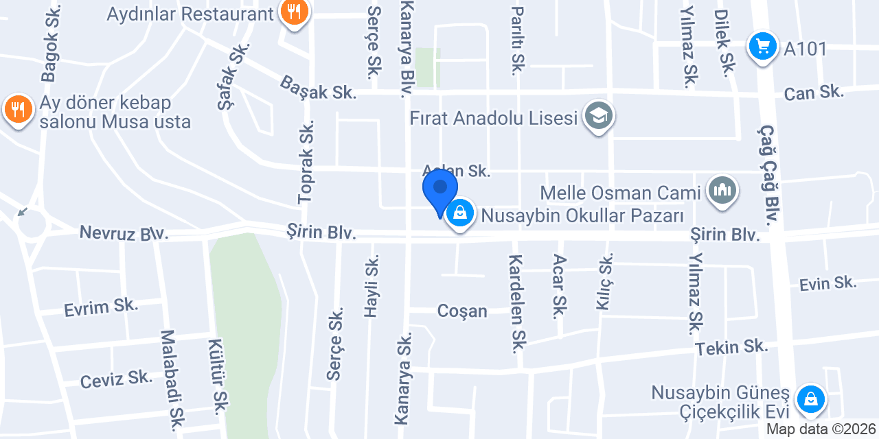 Nusaybin pilavcisi konumu