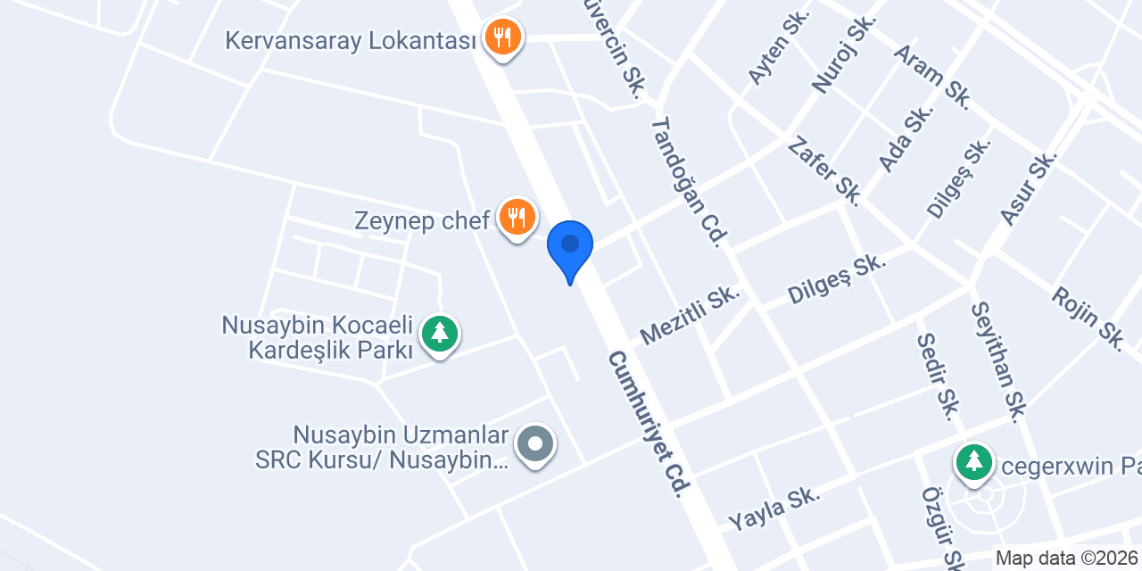 Balta Burger Nusaybin konumu