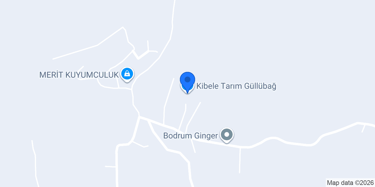 Kibele Tarım Güllübağ konumu