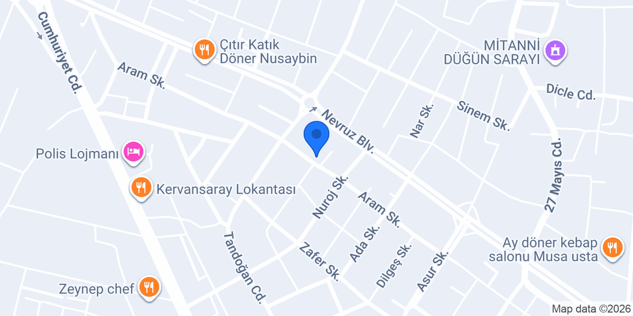 Nusaybin organizasyon konumu