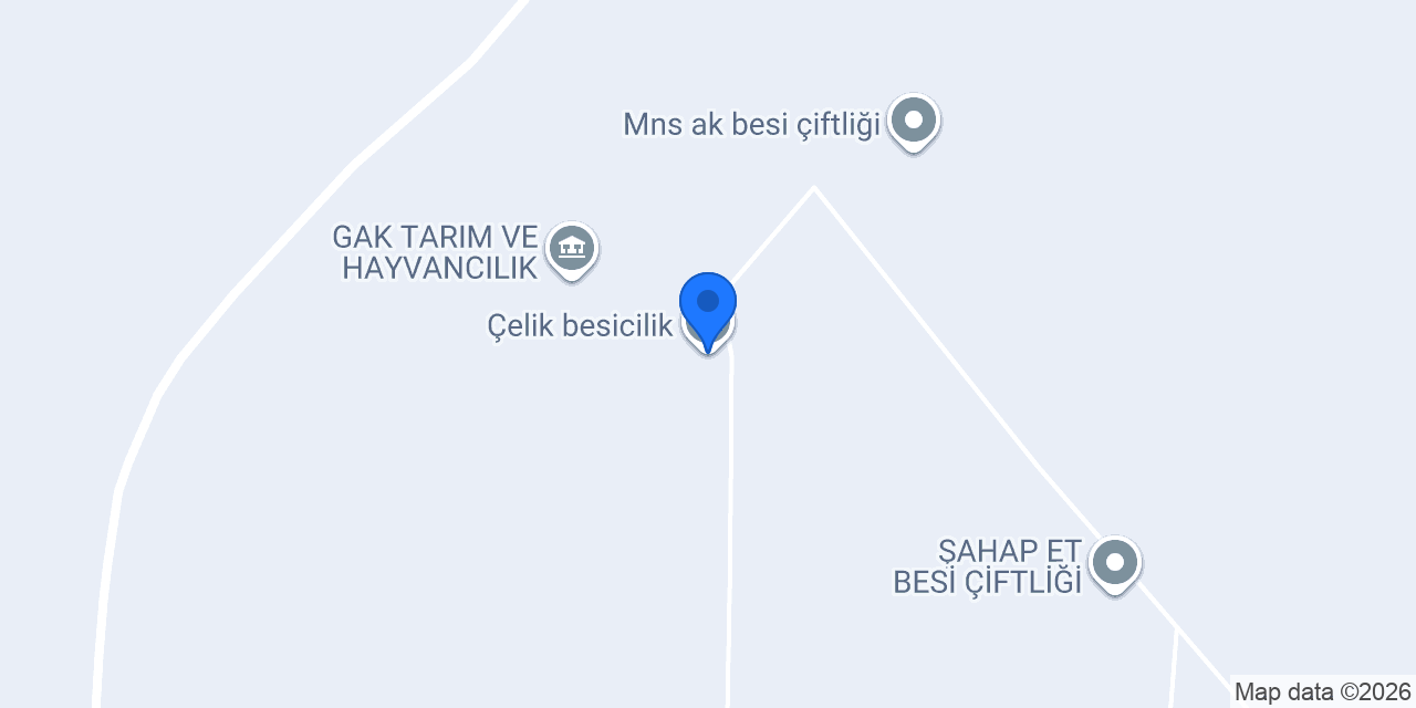 Çelik besicilik konumu