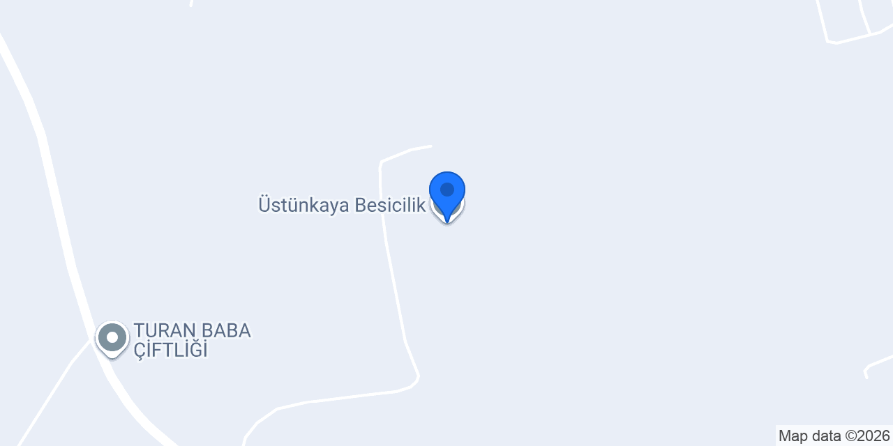 Üstünkaya Besicilik konumu