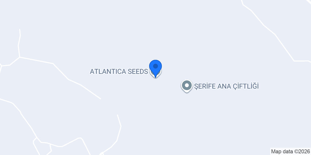 ATLANTICA SEEDS konumu
