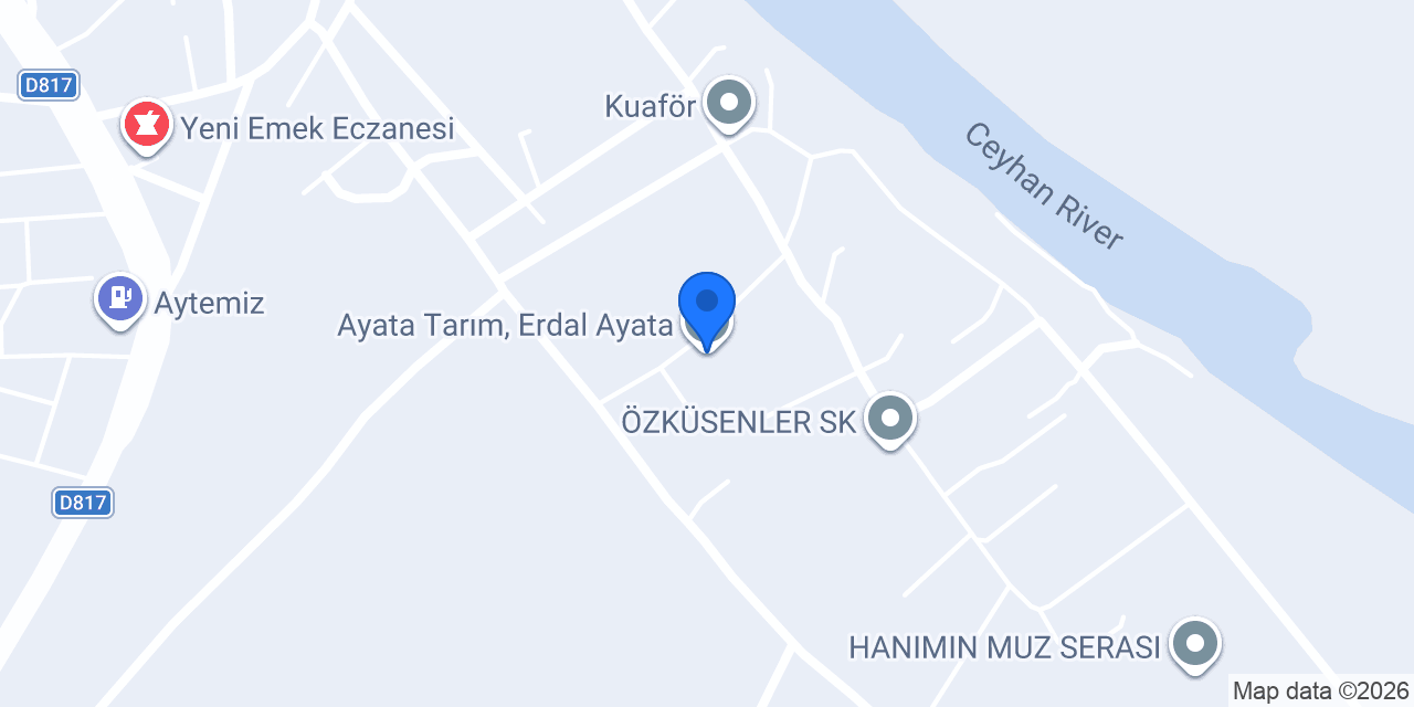 Ayata Tarım, Erdal Ayata konumu
