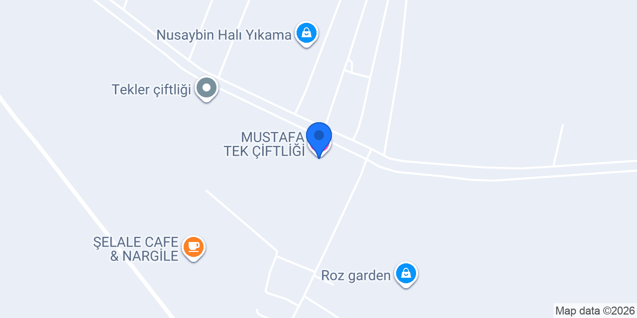 MUSTAFA TEK ÇİFTLİĞİ konumu