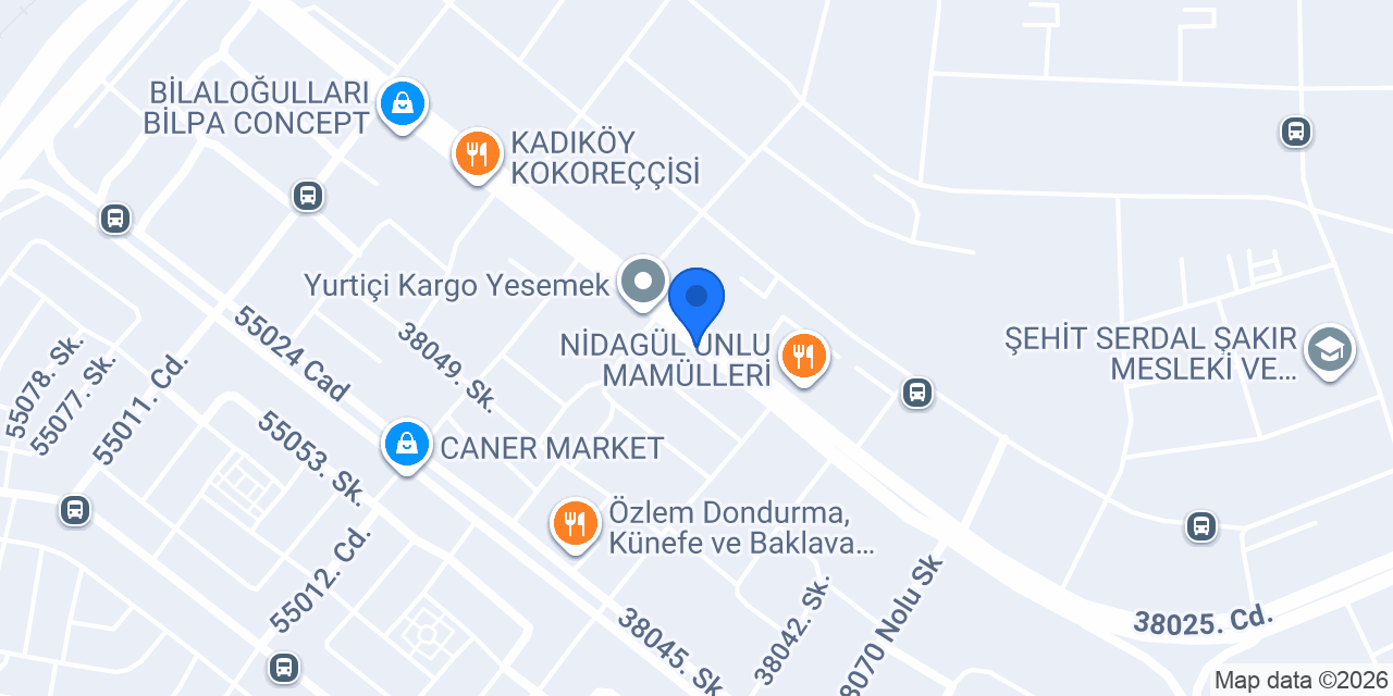 Salon çınar konumu