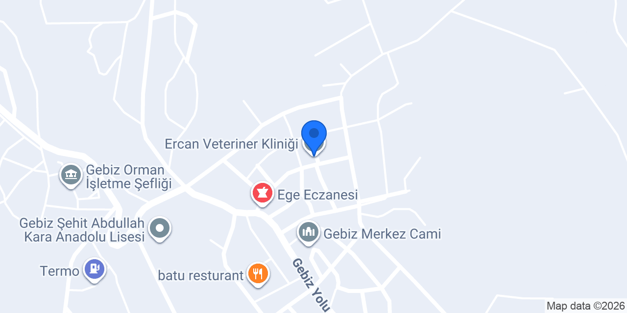 Ercan Veteriner Kliniği konumu