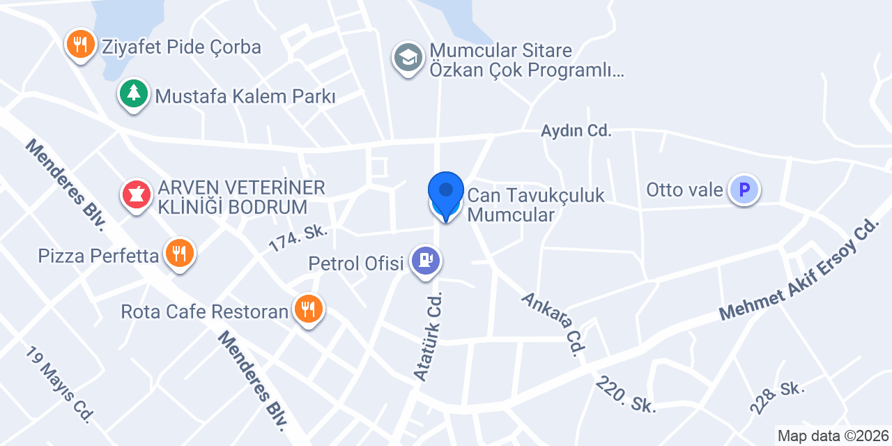Can Tavukçuluk Mumcular konumu