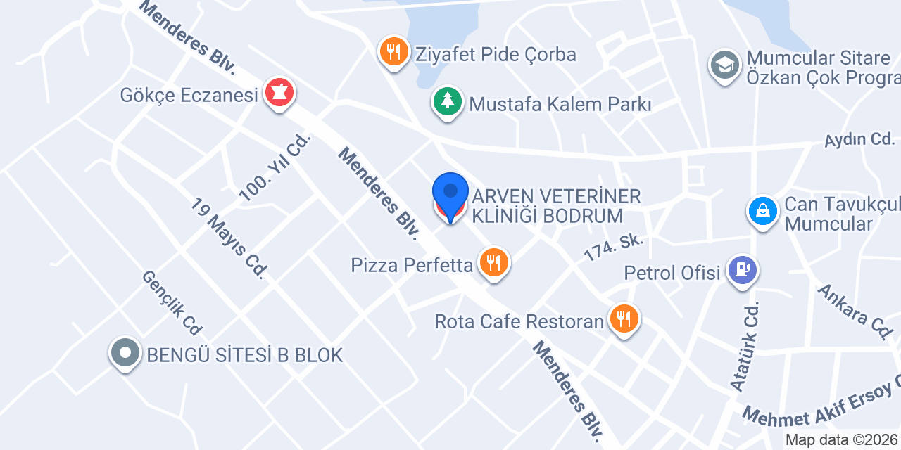 ARVEN VETERİNER KLİNİĞİ BODRUM konumu
