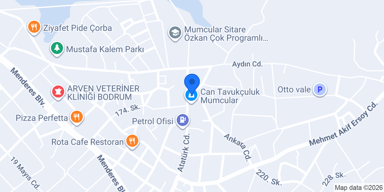 ALP OTO YIKAMA konumu