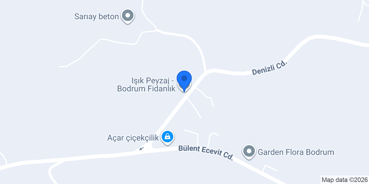 Işık Peyzaj - Bodrum Fidanlık konumu