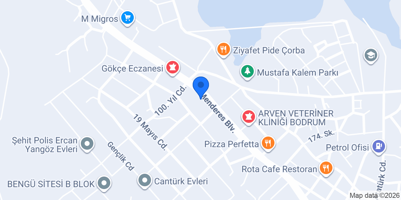 Dallas Kasap konumu