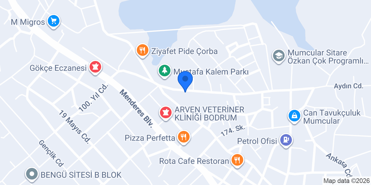 Oğuz Spot / 2. El konumu