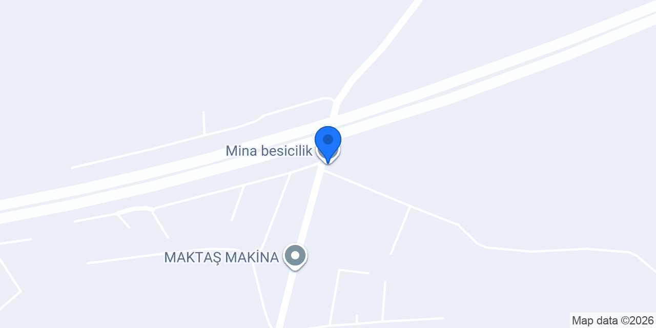 Mina besicilik konumu