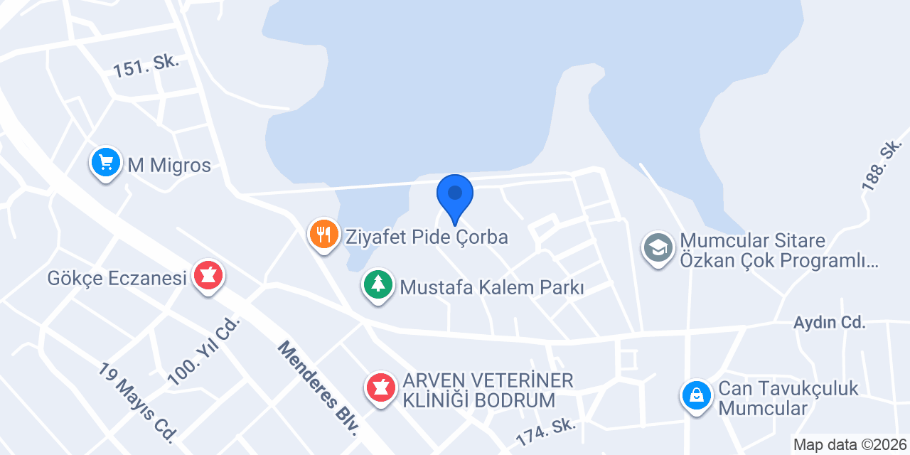 Koltuk Döşemeci konumu