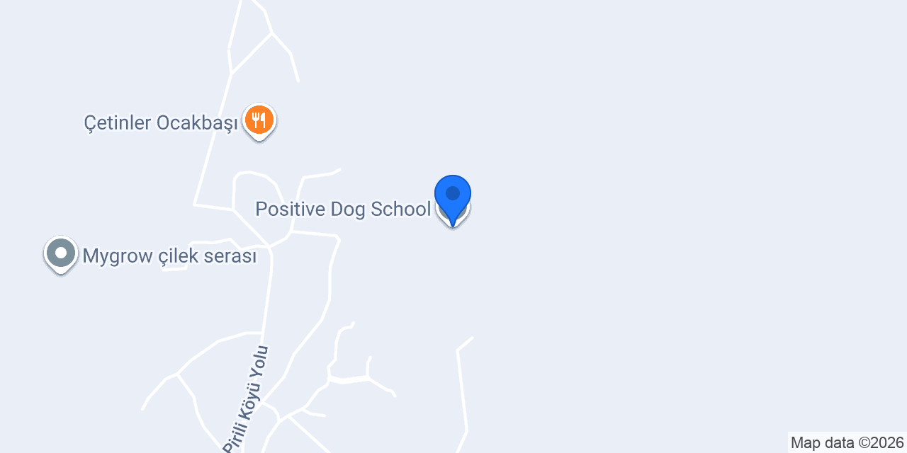 Positive Dog School konumu