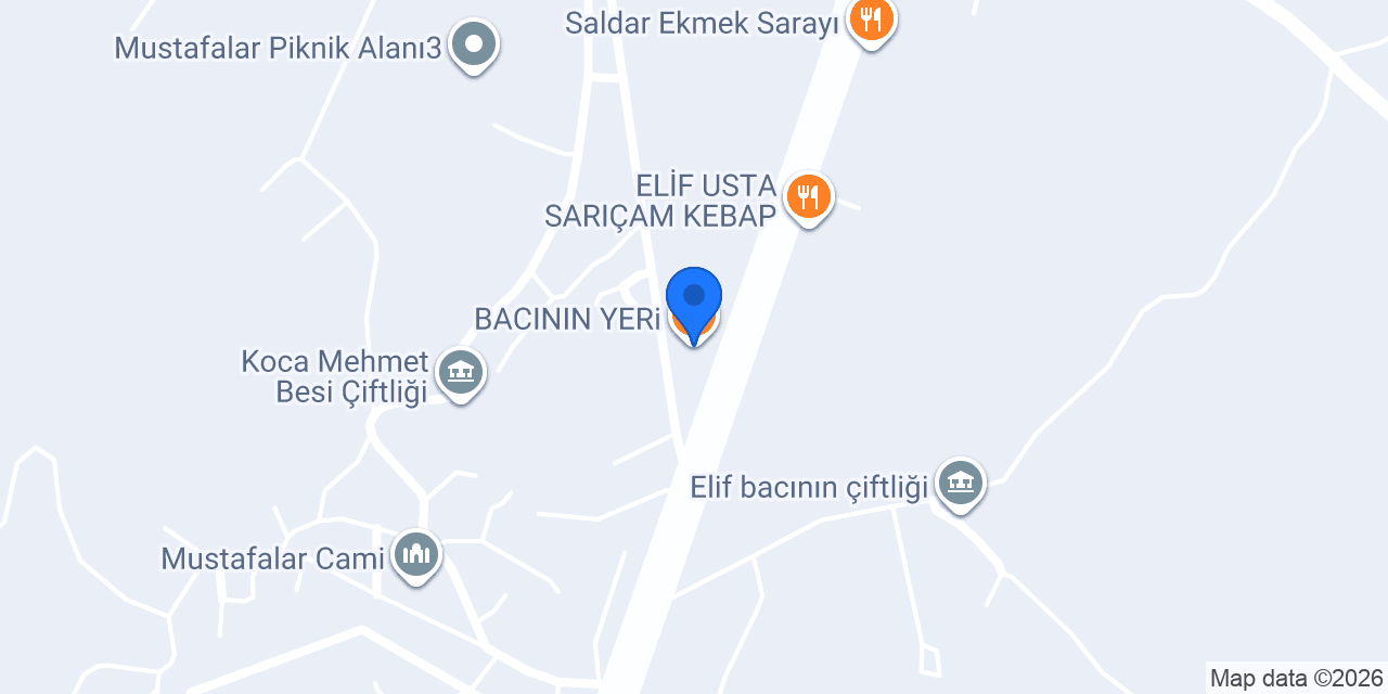 BACININ YERi konumu